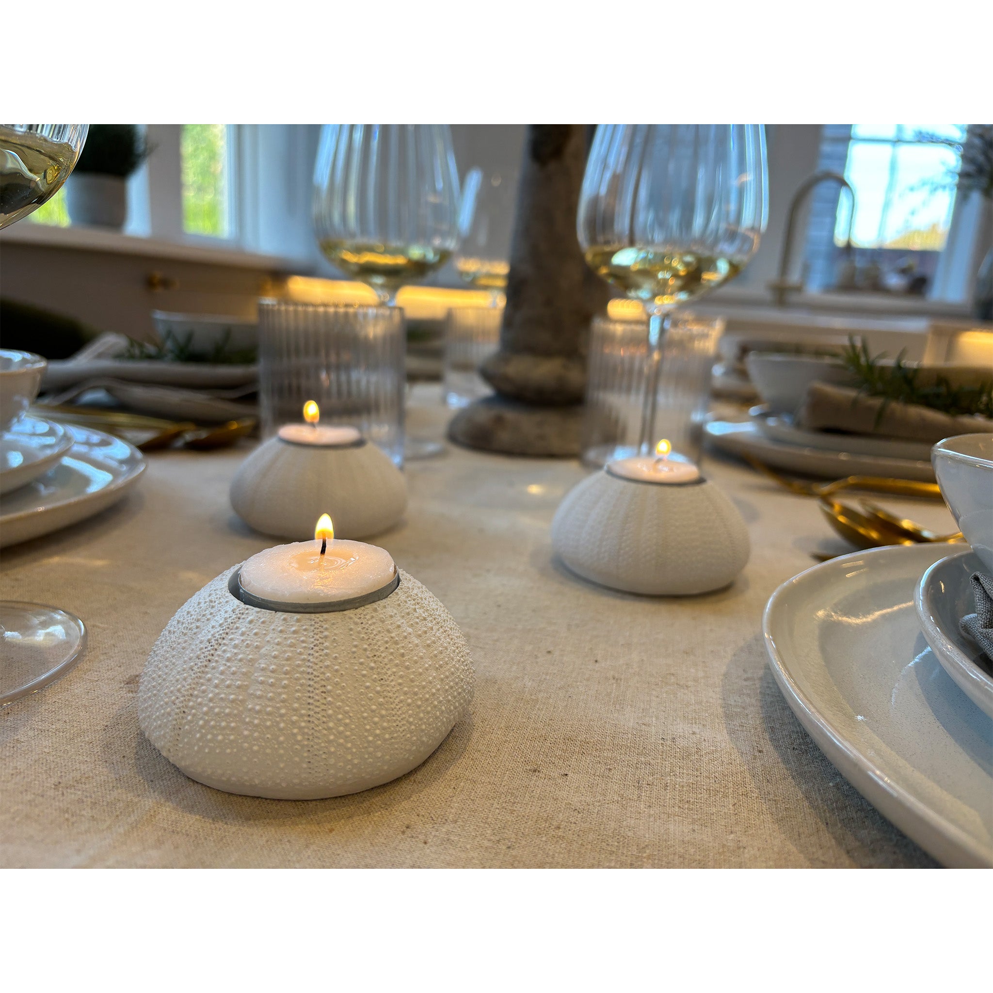 Sea Urchin Candle Holders - Set of 3