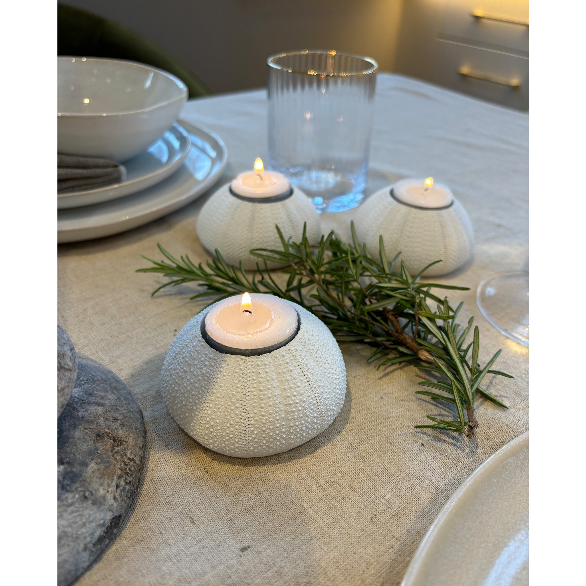 Sea Urchin Candle Holders - Set of 3