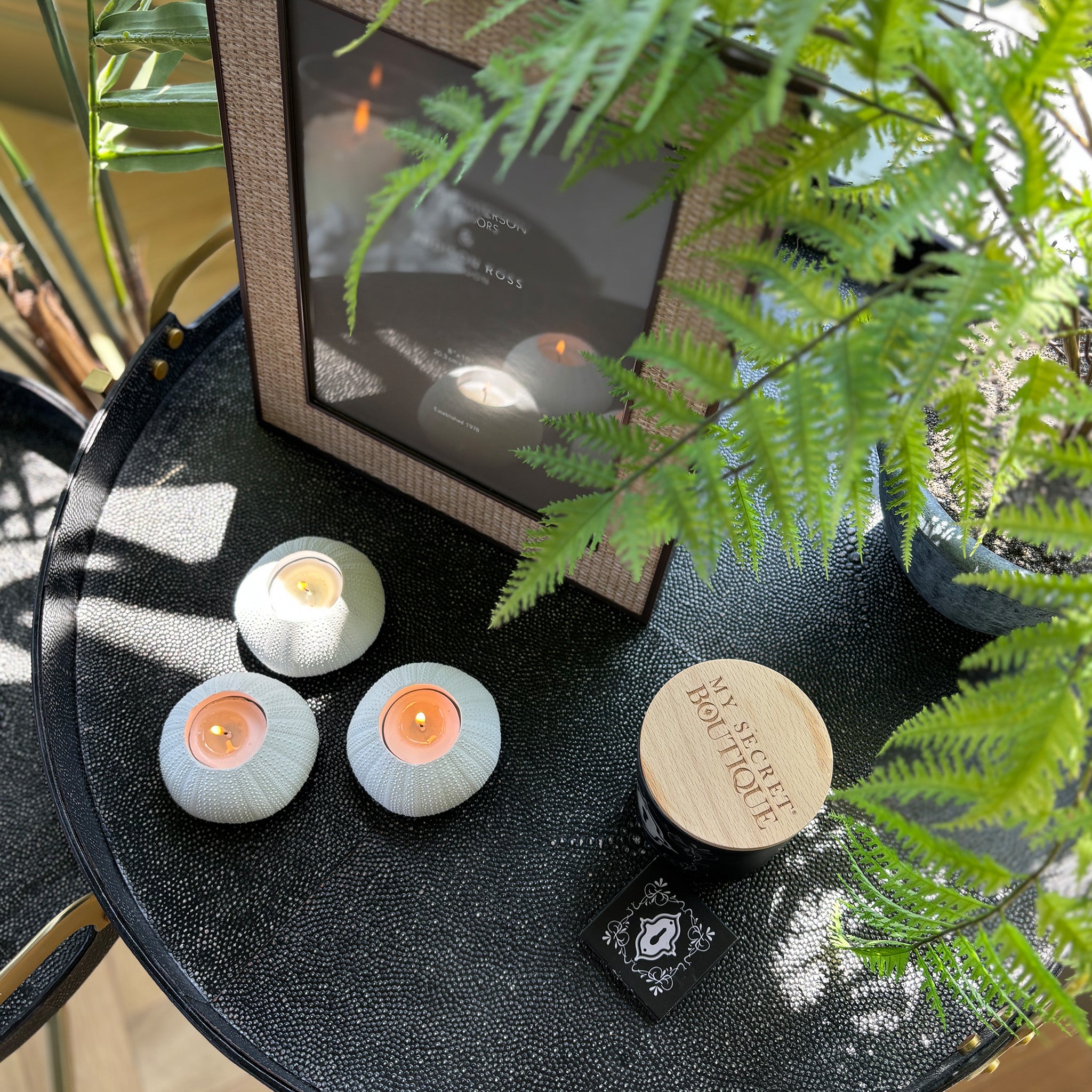 Sea Urchin Candle Holders - Set of 3