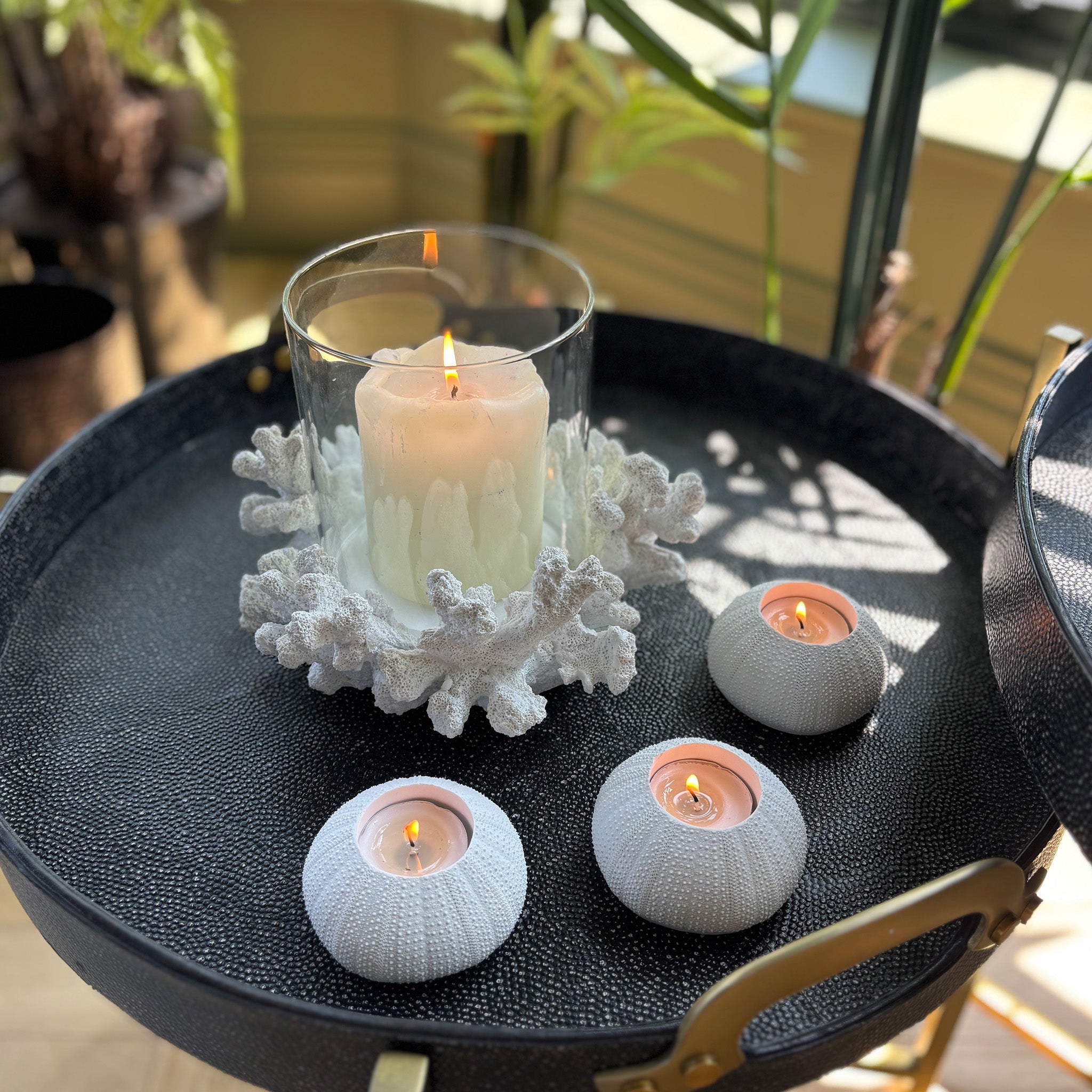 Sea Urchin Candle Holders - Set of 3