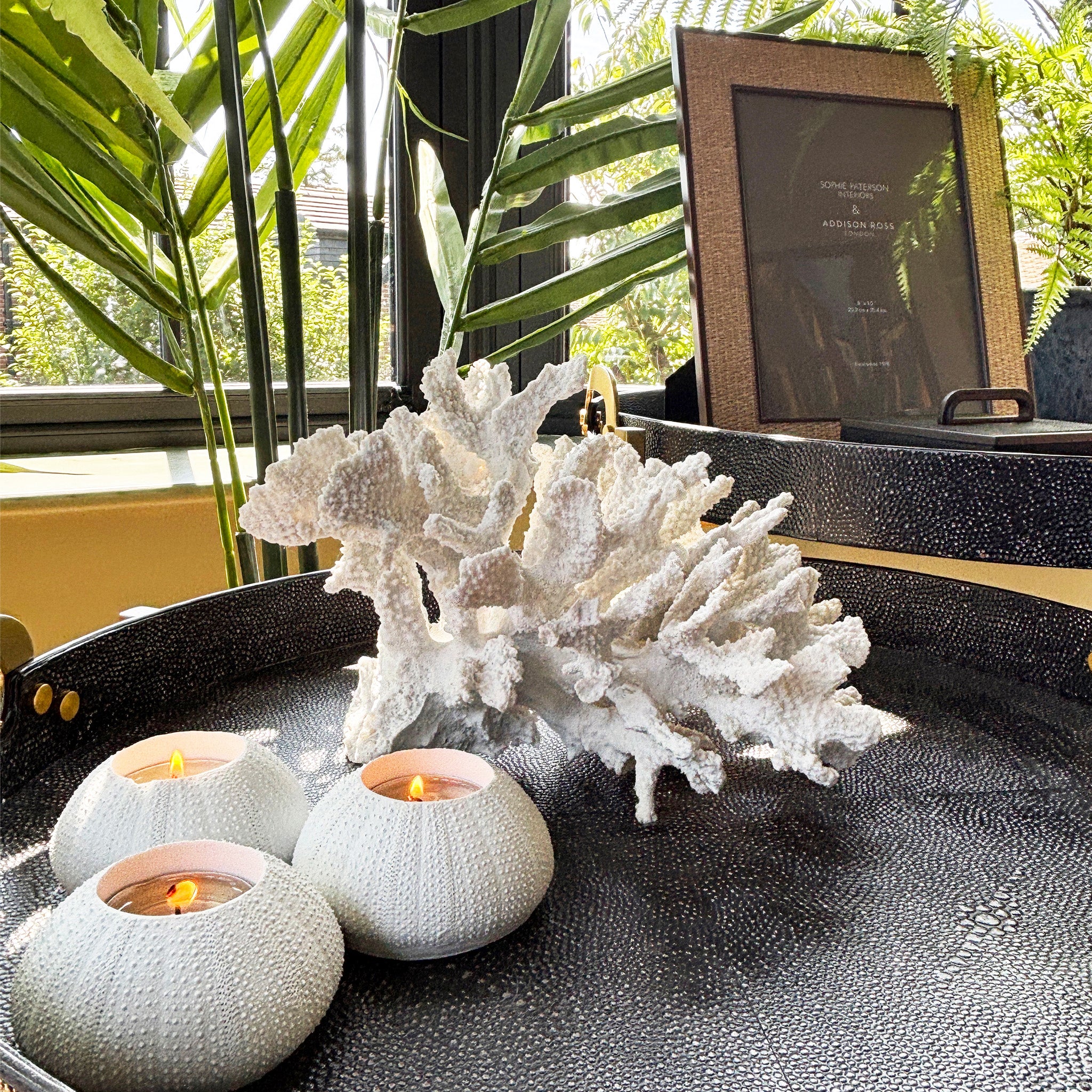 Sea Urchin Candle Holders - Set of 3