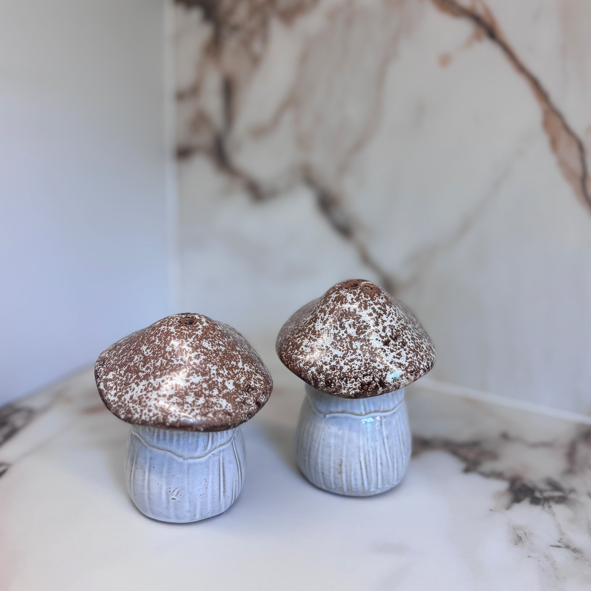 Mushroom Salt & Pepper Shaker Set