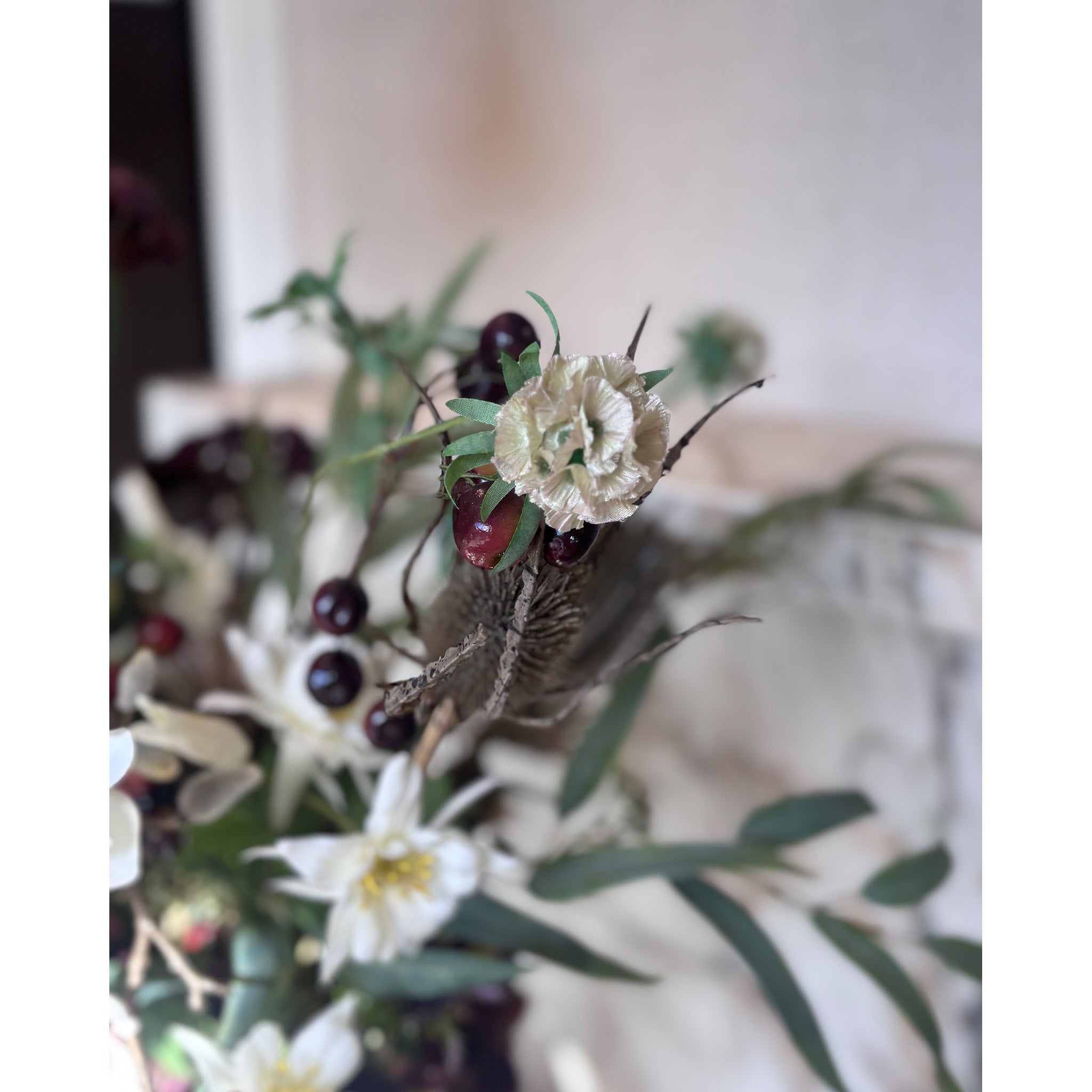 Wild Plum Forage