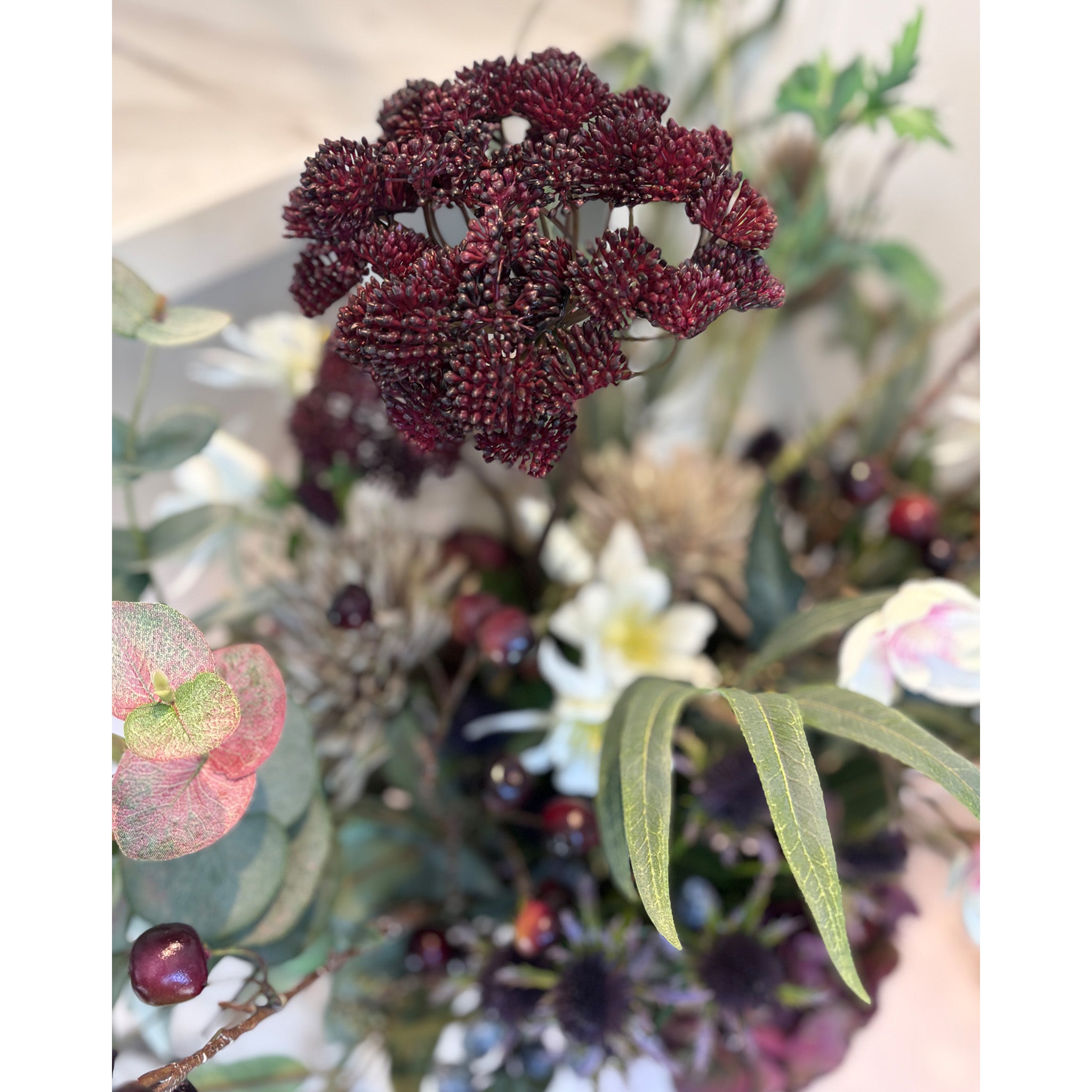 Wild Plum Forage