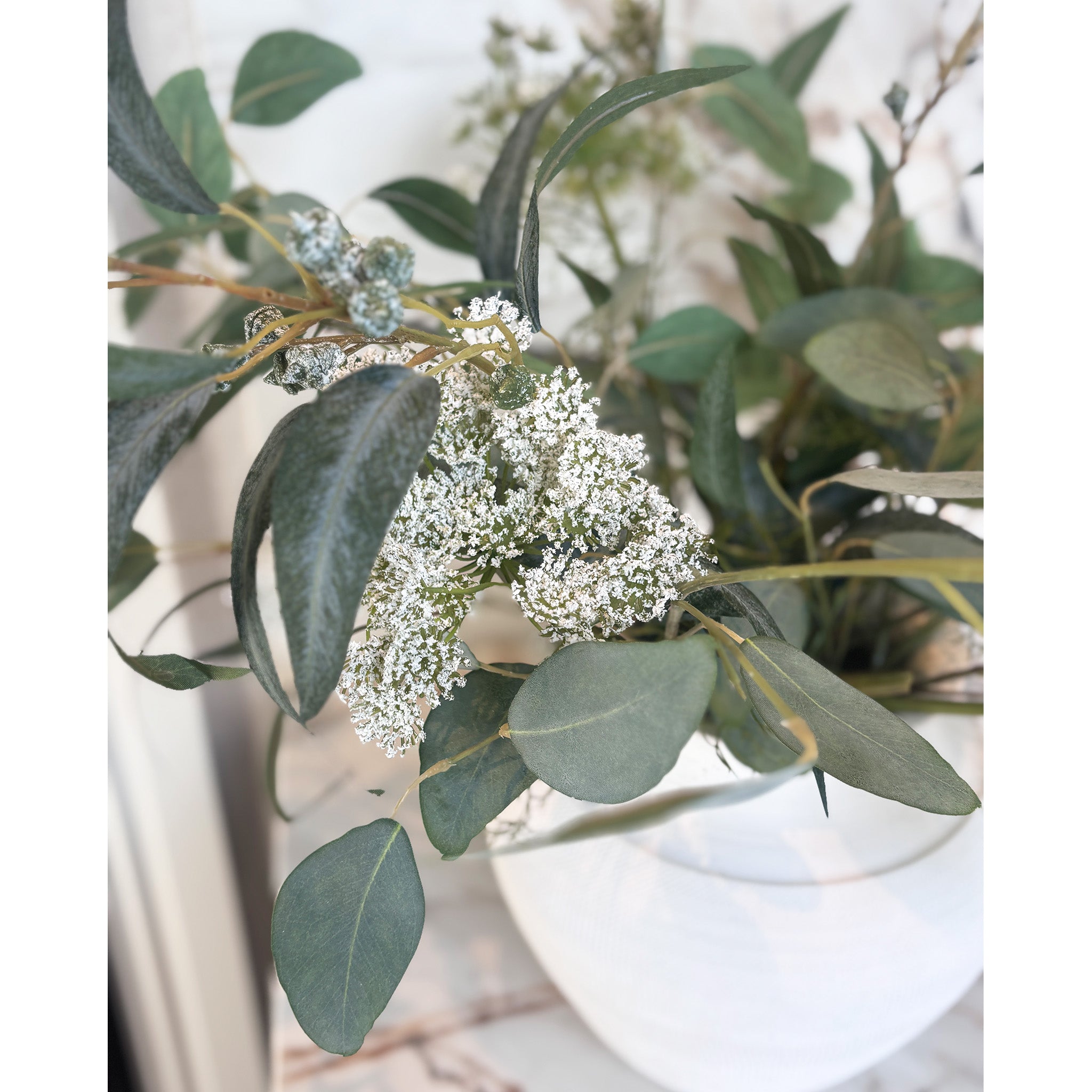 Wild Sage and Lace