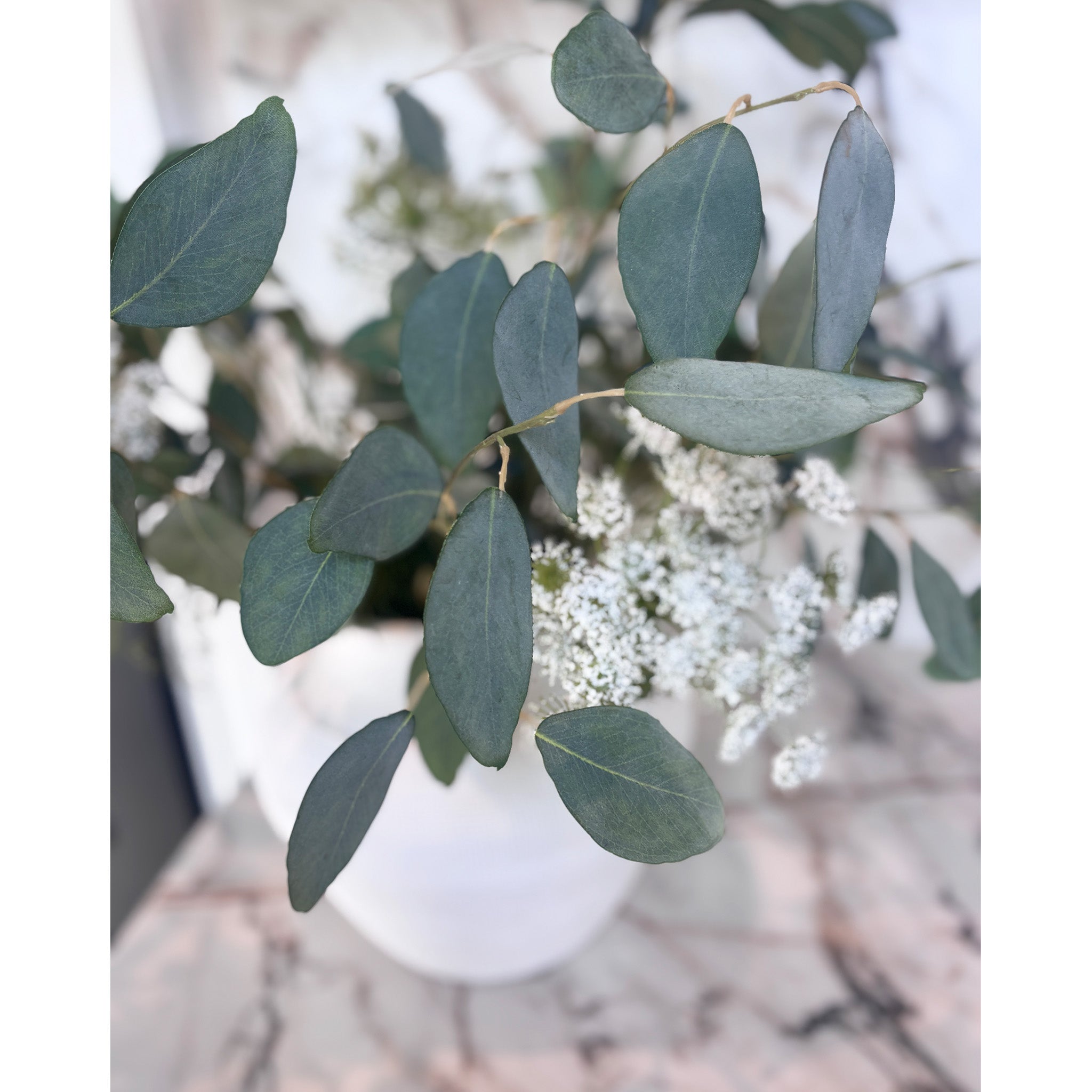 Wild Sage and Lace