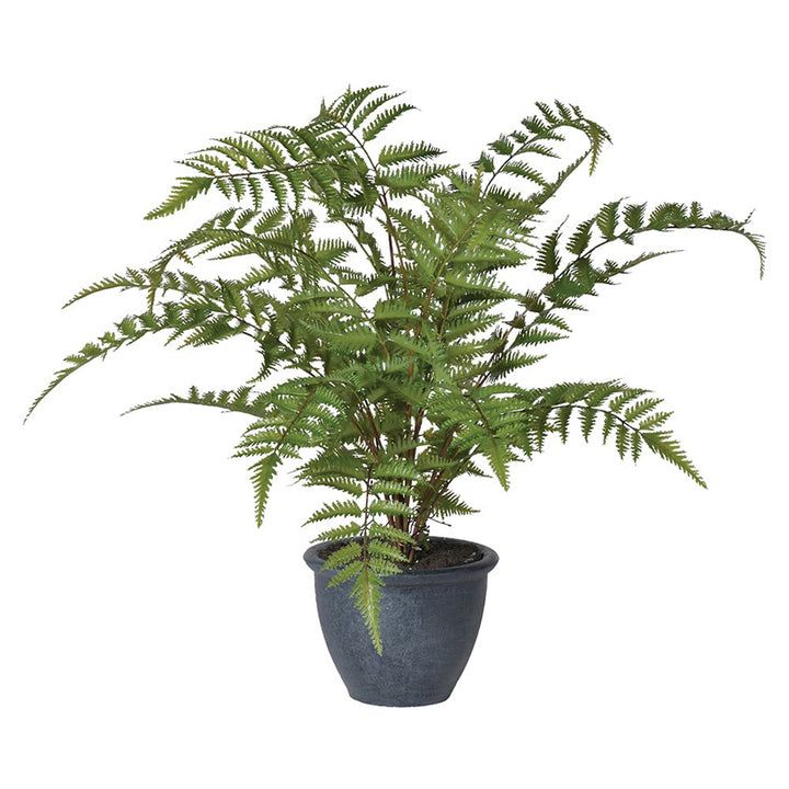 Riverside Foilage in Black Pot