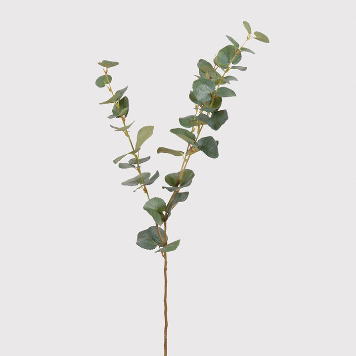 Eucalyptus Stem -  Pack of 12