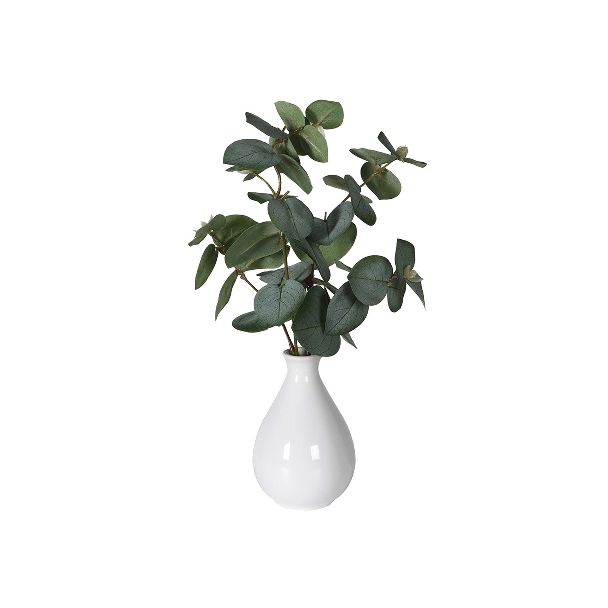 Small white ceramic vase with a eucalyptus arrangement. Dimensions: H:300 mm   Delivery: 7-10 working days