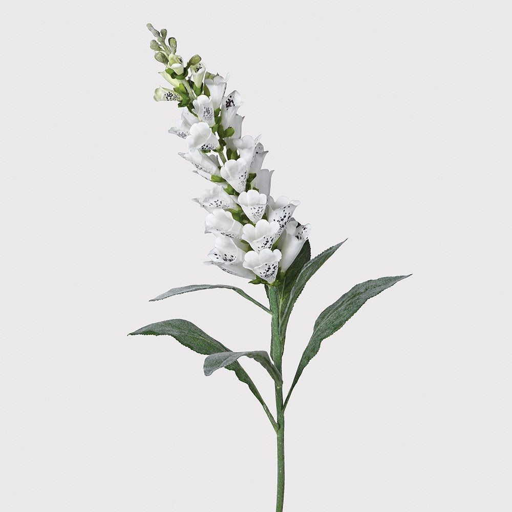 Beautiful white wild foxglove stems with green leaves, sold as a pack of 6.  Dimensions: H:900 mm  Delivery: 7-10 working days